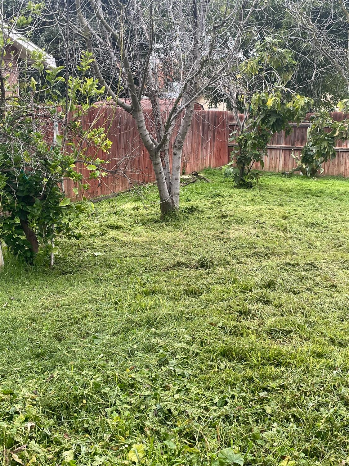 1015 W 10th St, Merced, CA 95341