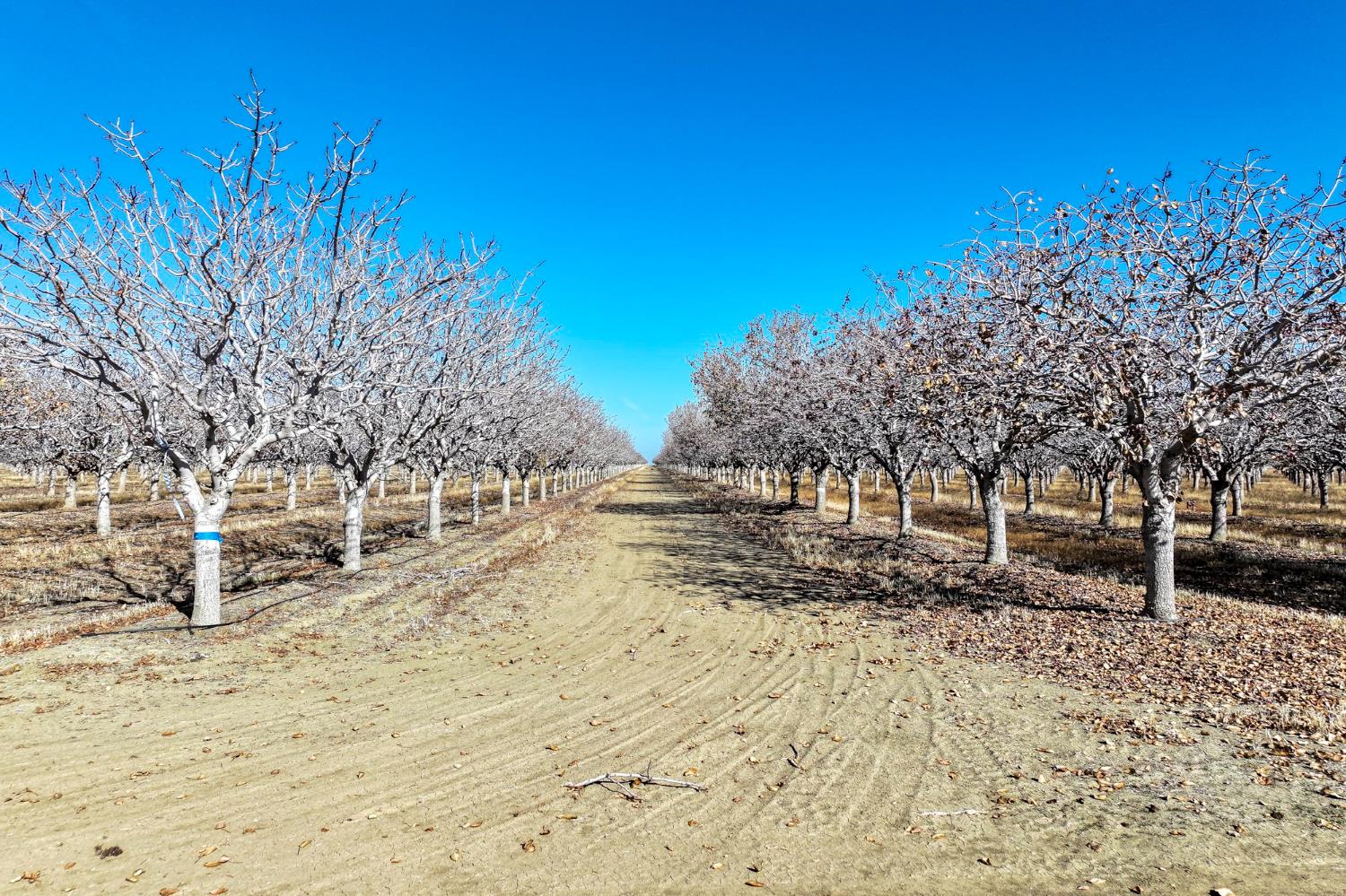 33571 W Adams, Mendota, CA 93640