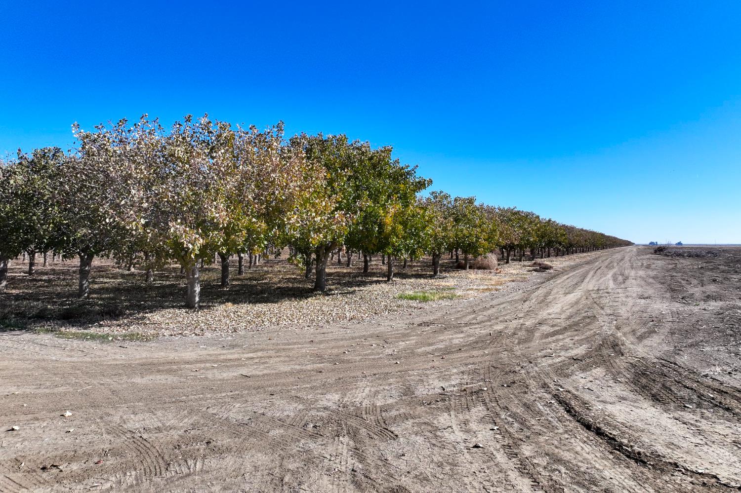 33571 W Adams, Mendota, CA 93640