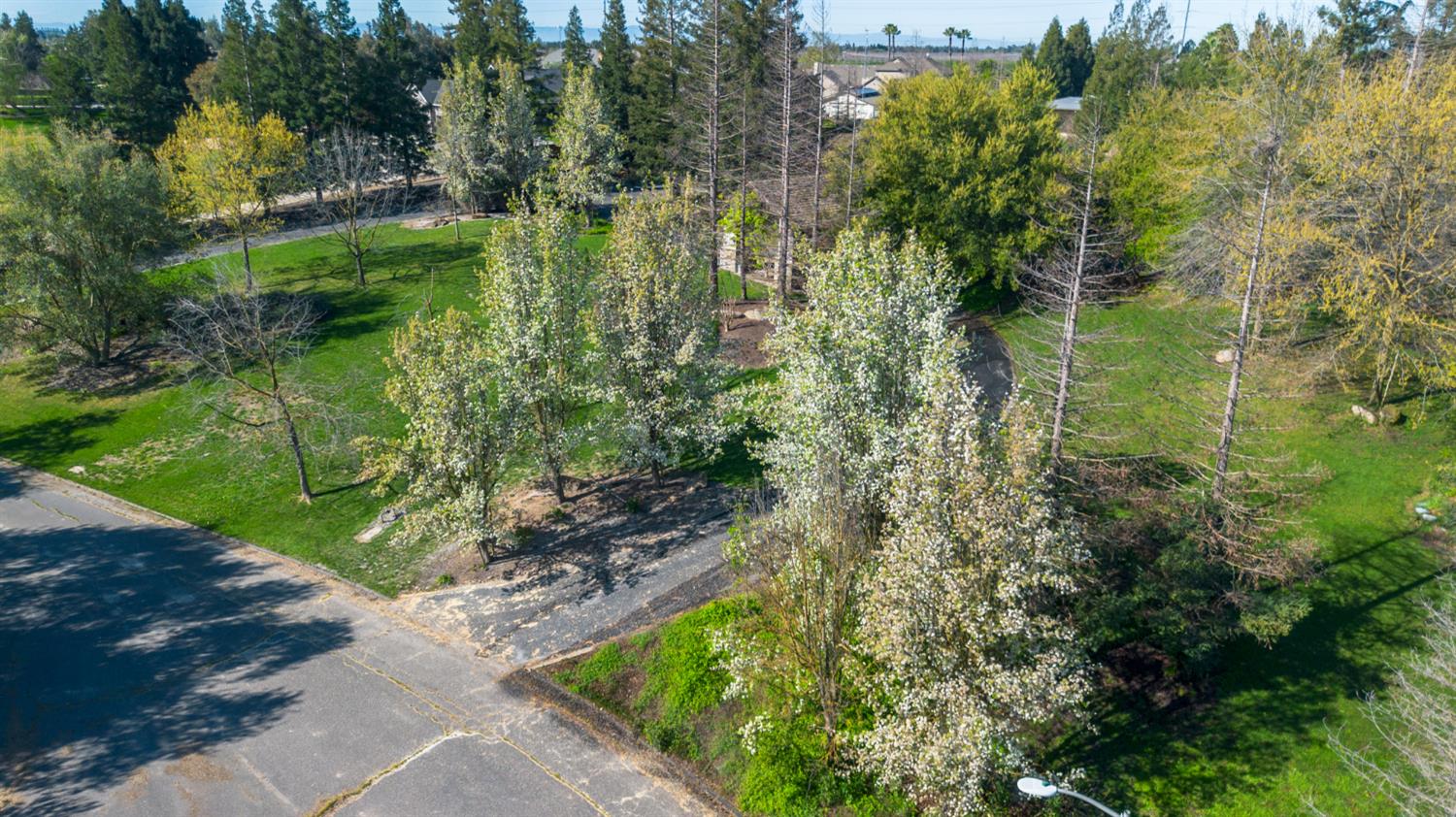 8519 Oak Creek Ct, Oakdale, CA 95361