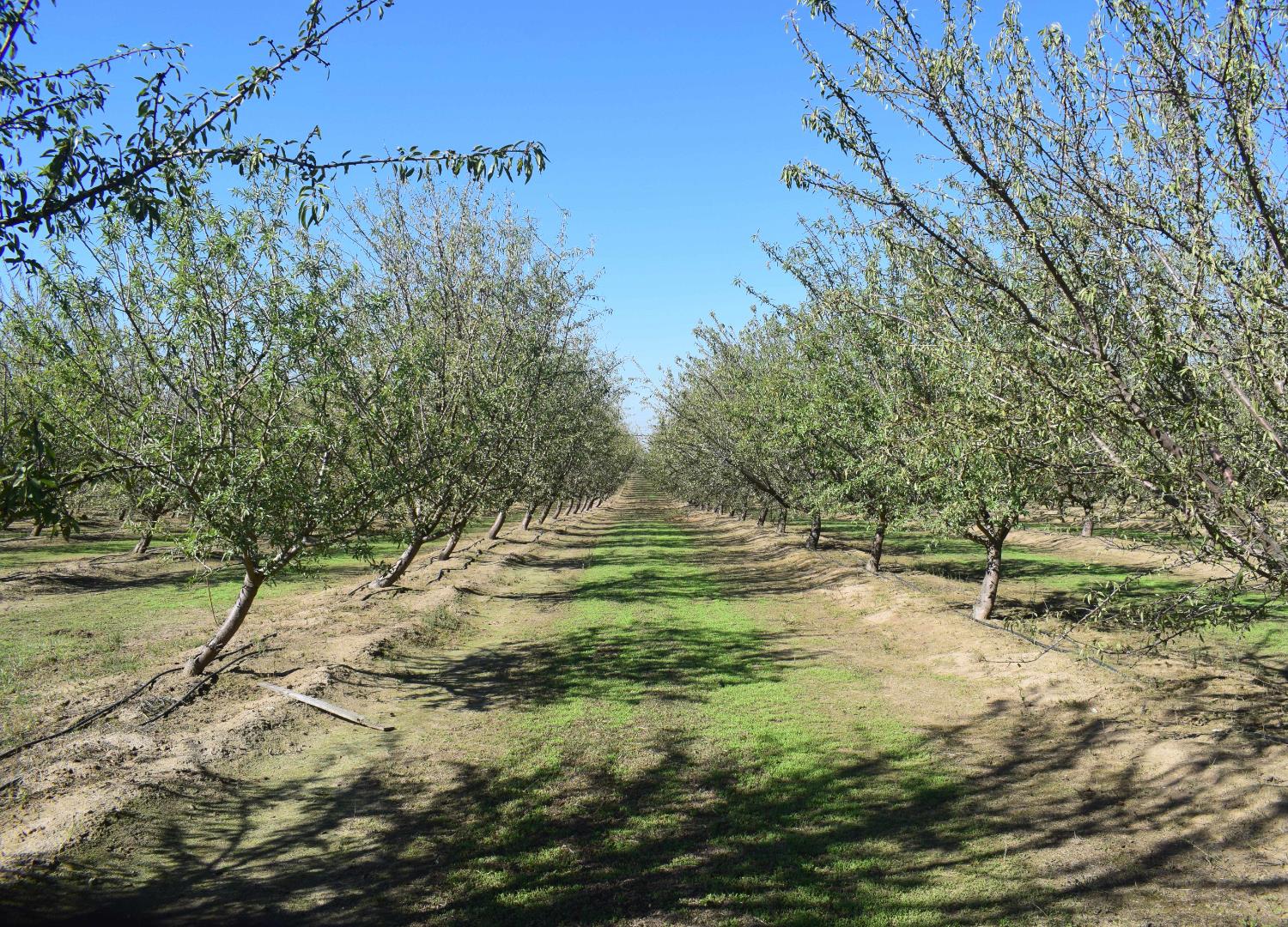 4610 Oakdale Rd, Winton, CA 95388