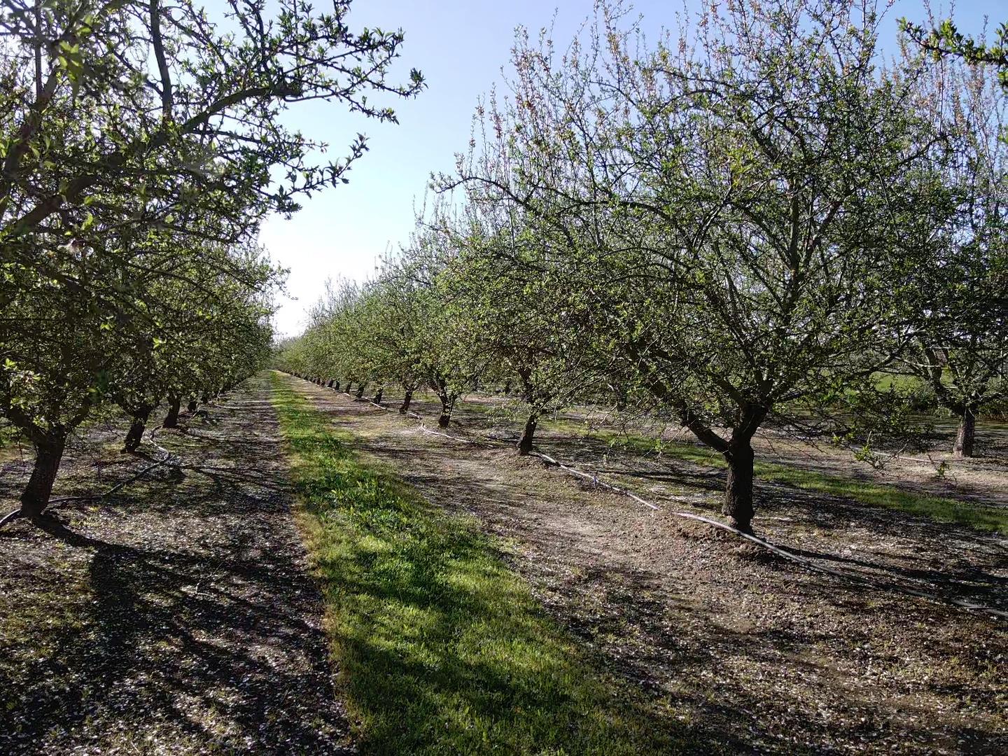 1119 N Verduga Rd, Turlock, CA 95380