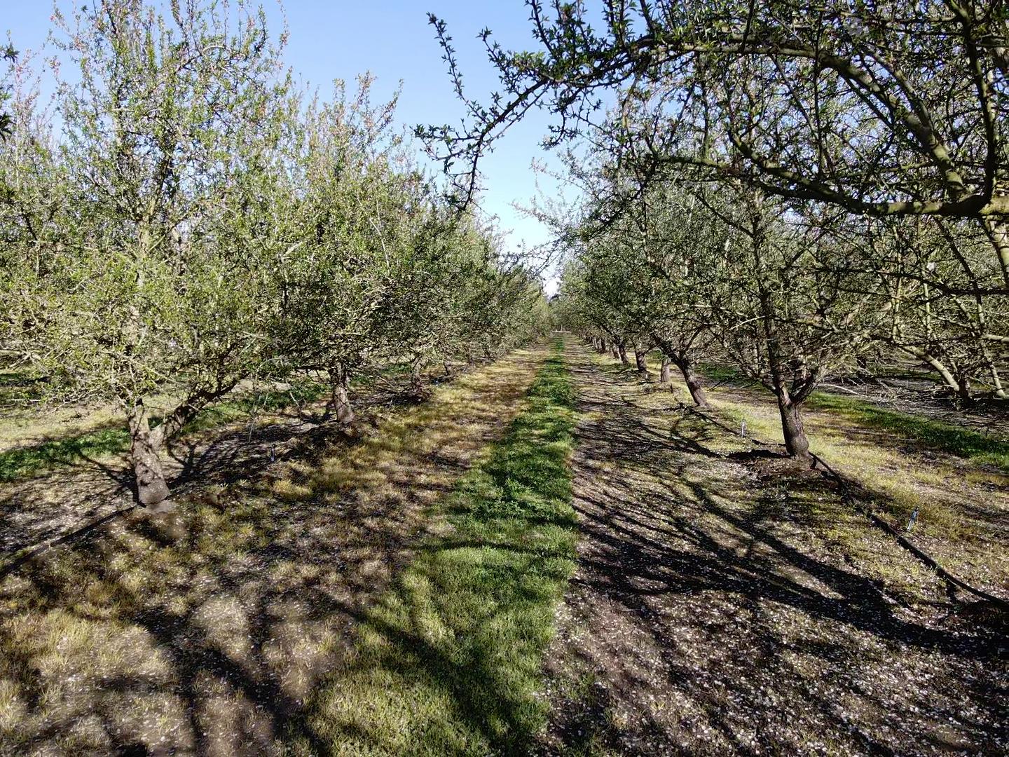 1119 N Verduga Rd, Turlock, CA 95380