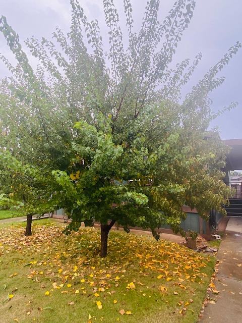 5901 Newbrook Cir #8, Riverbank, CA 95367