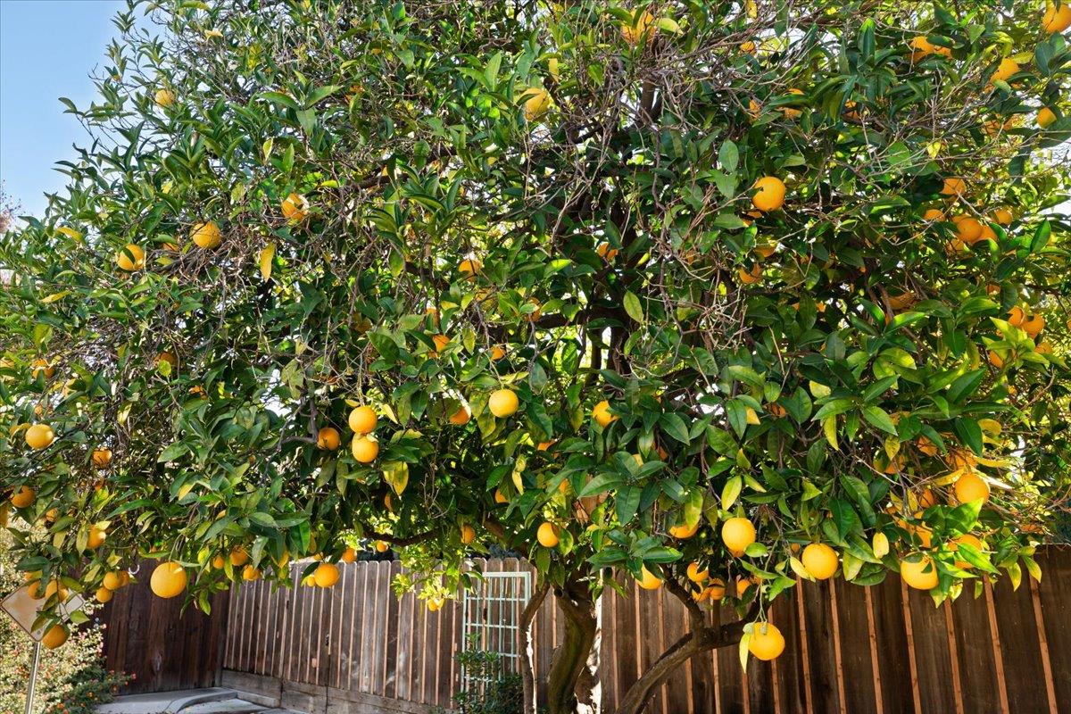 1410 Hillview Dr, Modesto, CA 95351