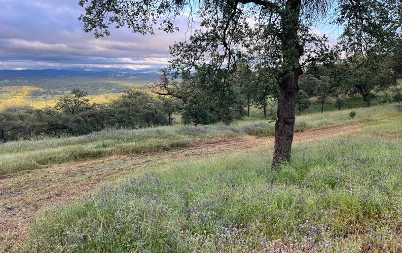 2460 Sulkey Ct, Copperopolis, CA 95228