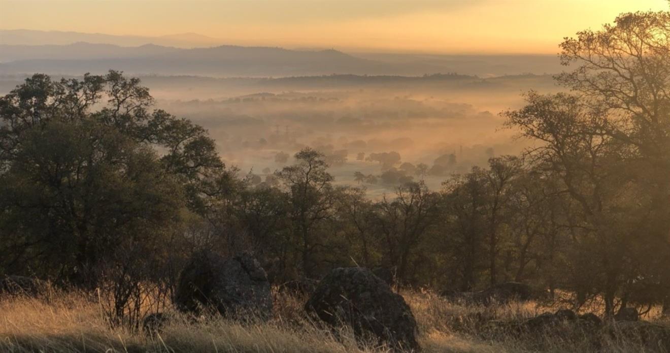 2460 Sulkey Ct, Copperopolis, CA 95228