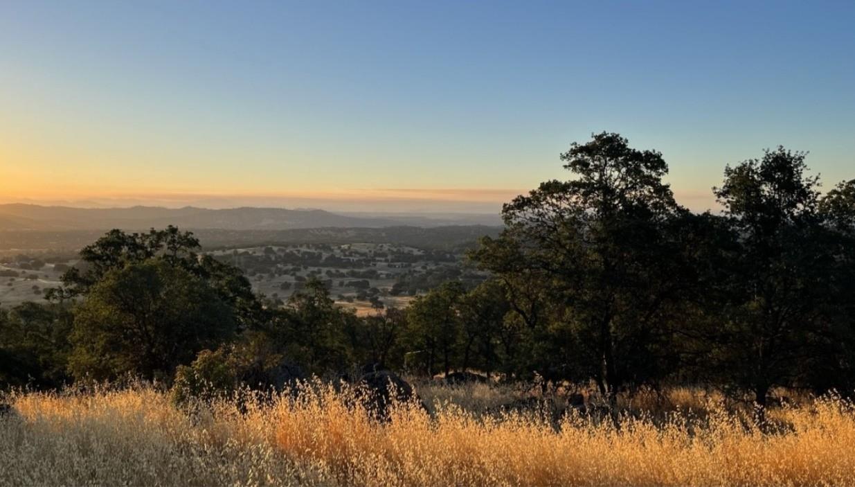 2460 Sulkey Ct, Copperopolis, CA 95228