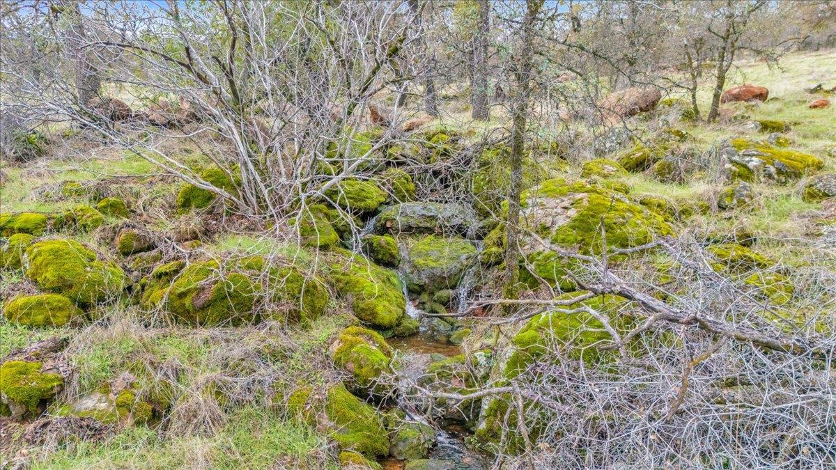 2460 Sulkey Ct, Copperopolis, CA 95228