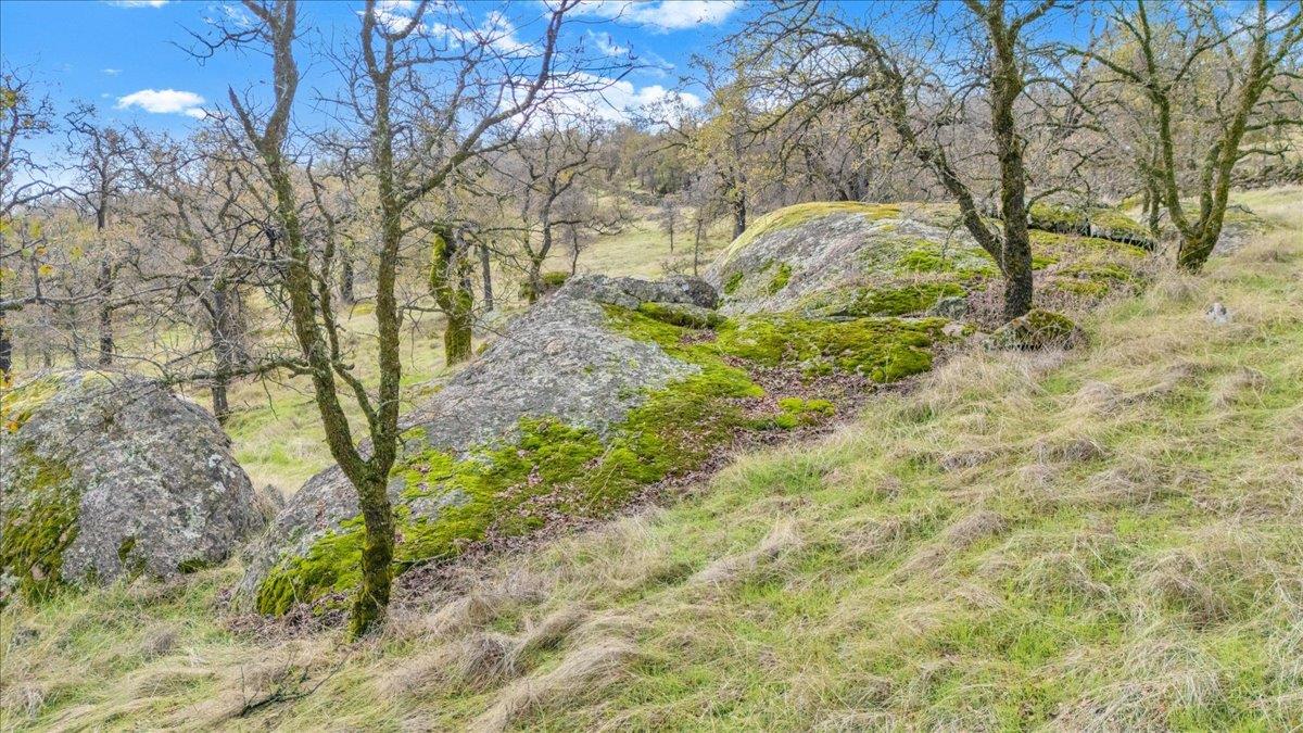 2460 Sulkey Ct, Copperopolis, CA 95228