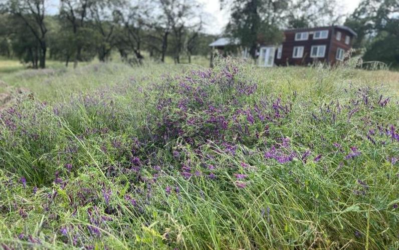 2460 Sulkey Ct, Copperopolis, CA 95228