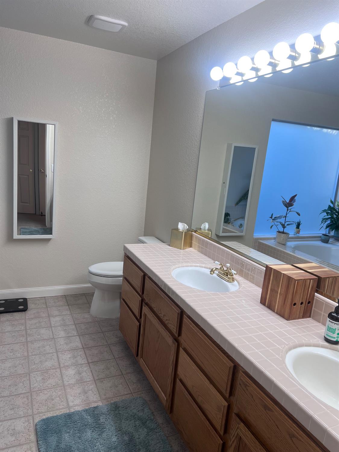 3335 Scottlee Dr, Turlock, CA 95382