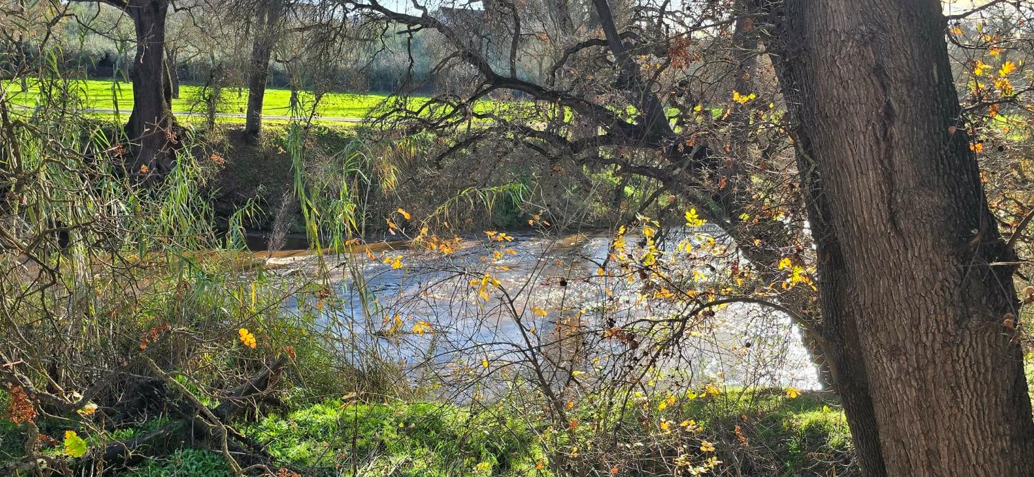 1500 Scenic Dr #12, Modesto, CA 95355