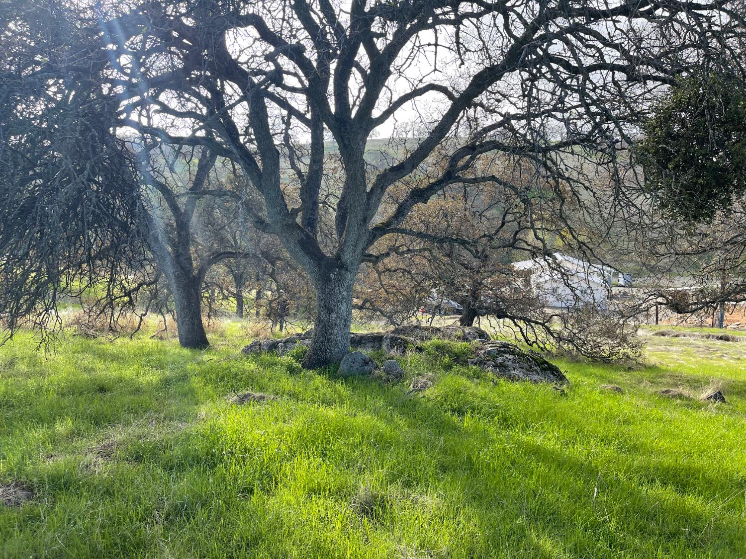 2672 Zelma Way, La Grange, CA 95329