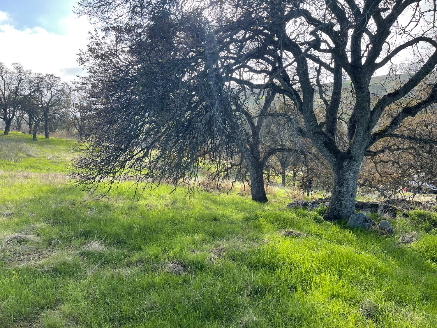 2672 Zelma Way, La Grange, CA 95329