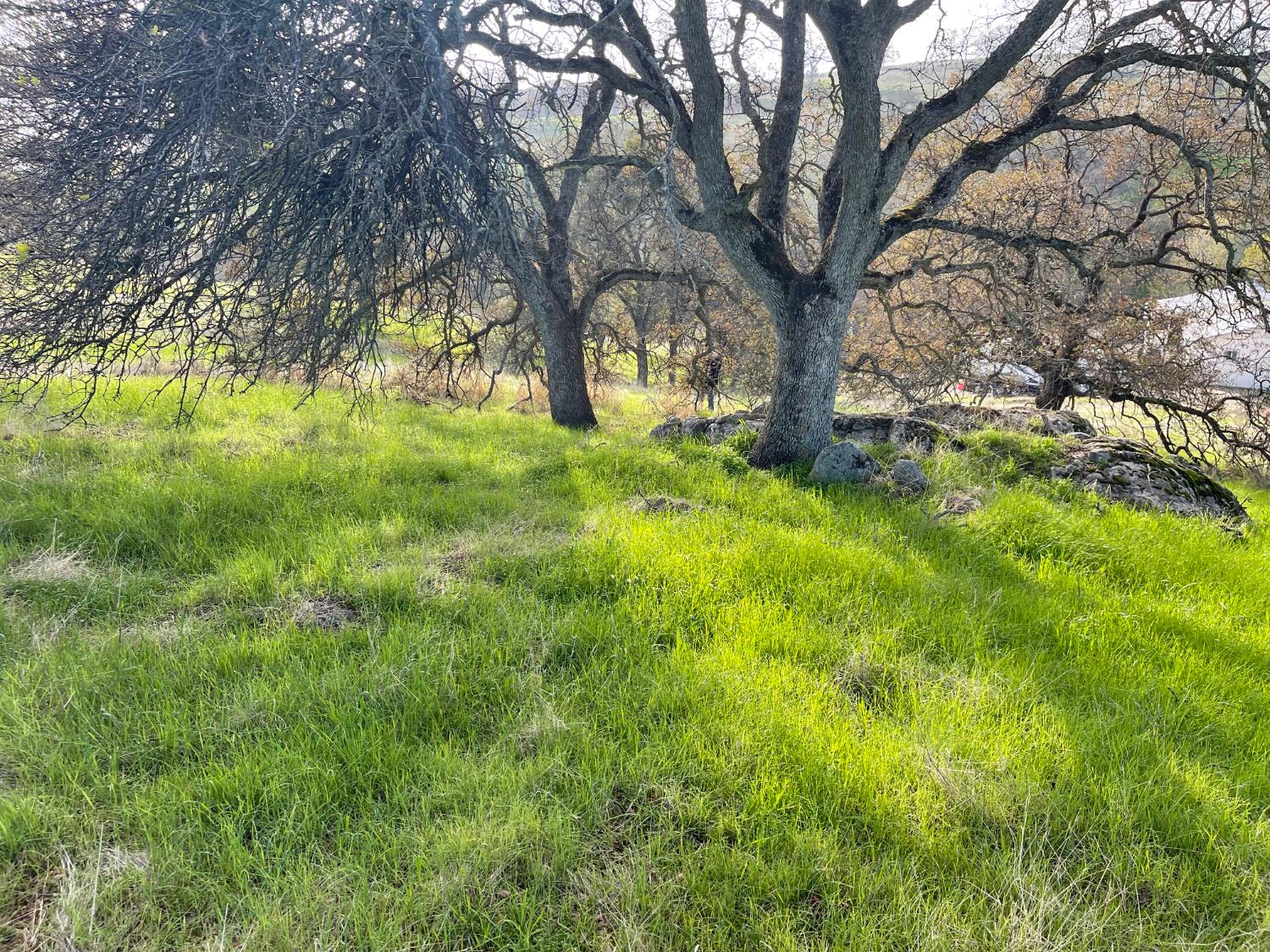 2672 Zelma Way, La Grange, CA 95329