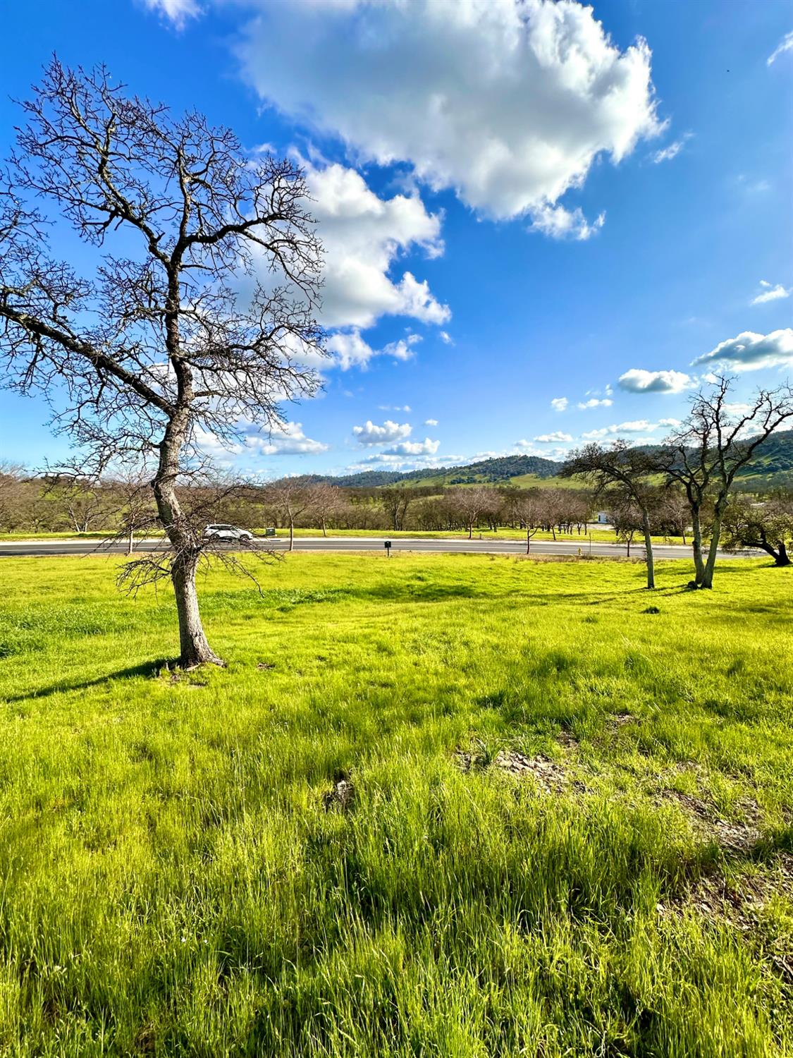 340 Hawkridge Rd #491, Copperopolis, CA 95228