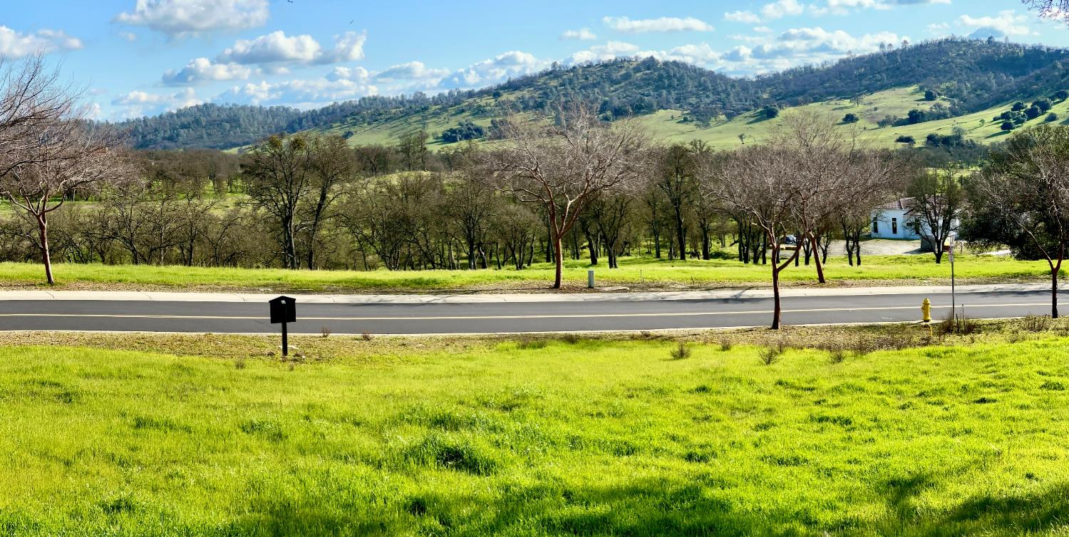 340 Hawkridge Rd #491, Copperopolis, CA 95228