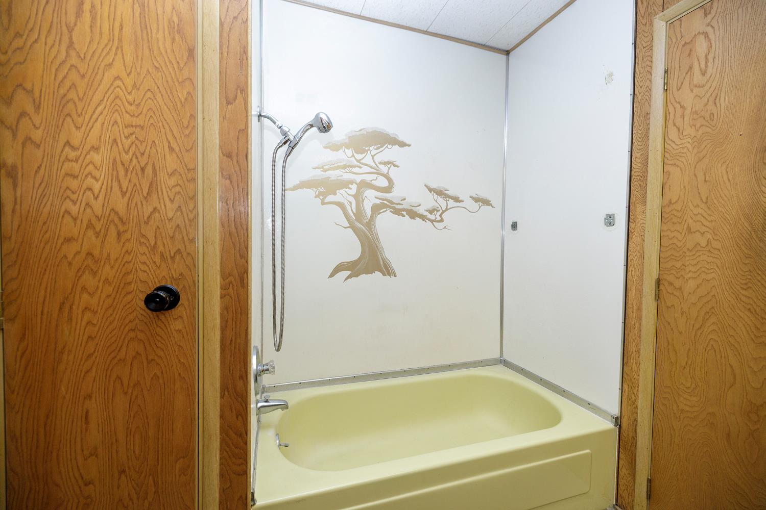 2505 Jackson Ave #145, Escalon, CA 95320