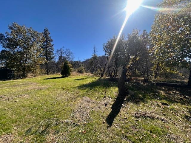 4934 Triangle Rd, Mariposa, CA 95338