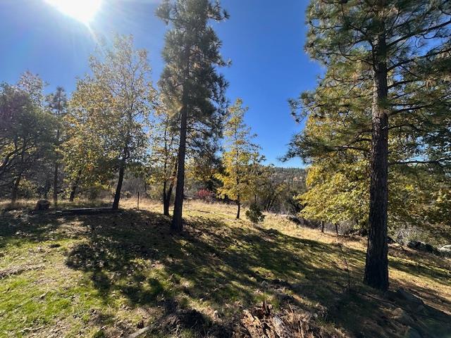 4934 Triangle Rd, Mariposa, CA 95338