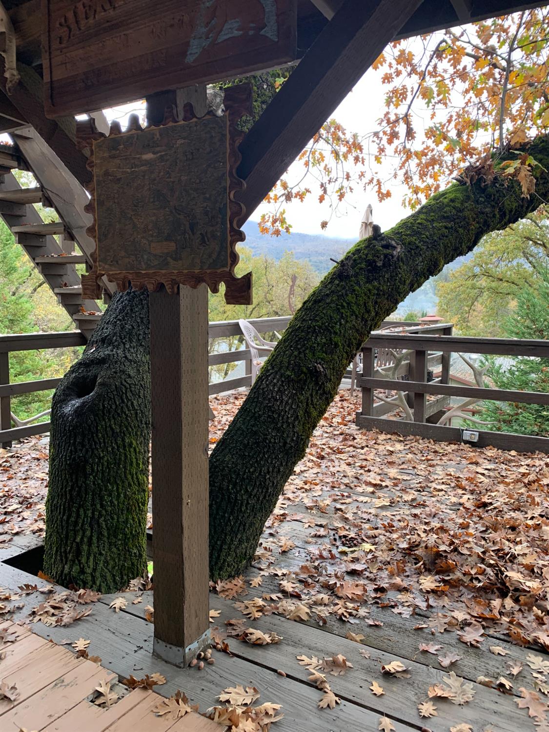 32956 Road 222, North Fork, CA 93643