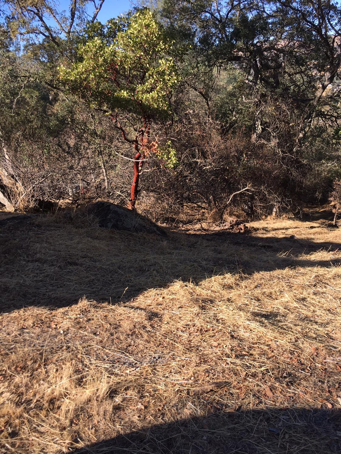 4983 Pueblo Tr, Copperopolis, CA 95228