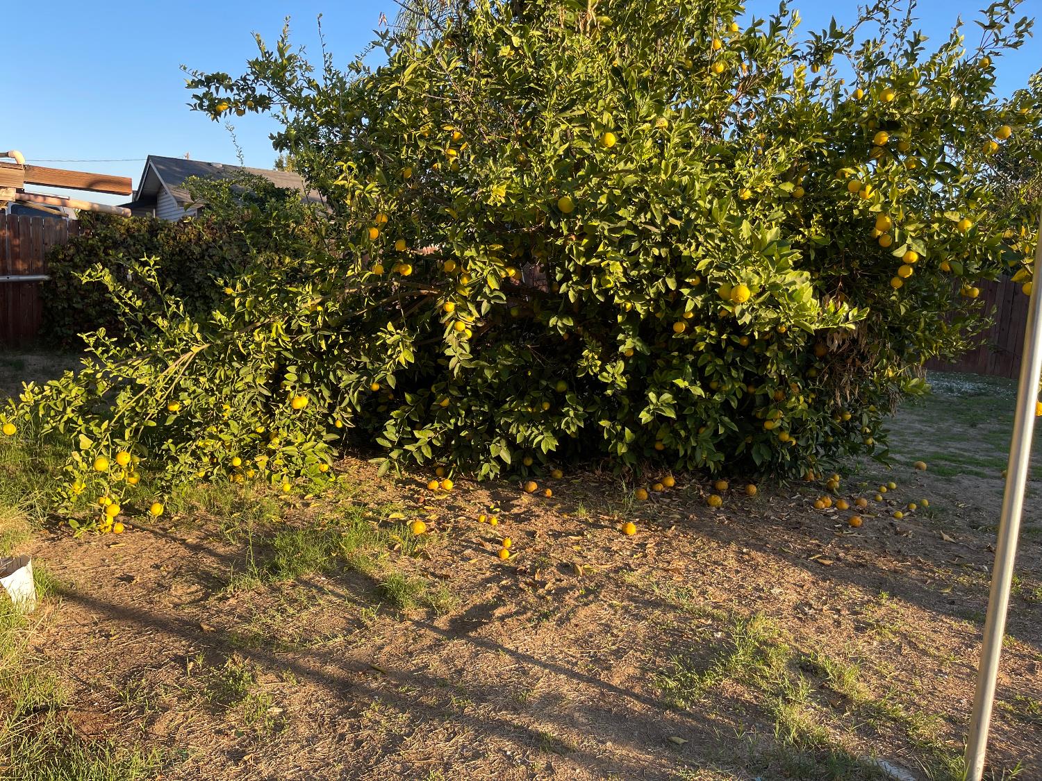 9870 Margaret Ct, Delhi, CA 95315