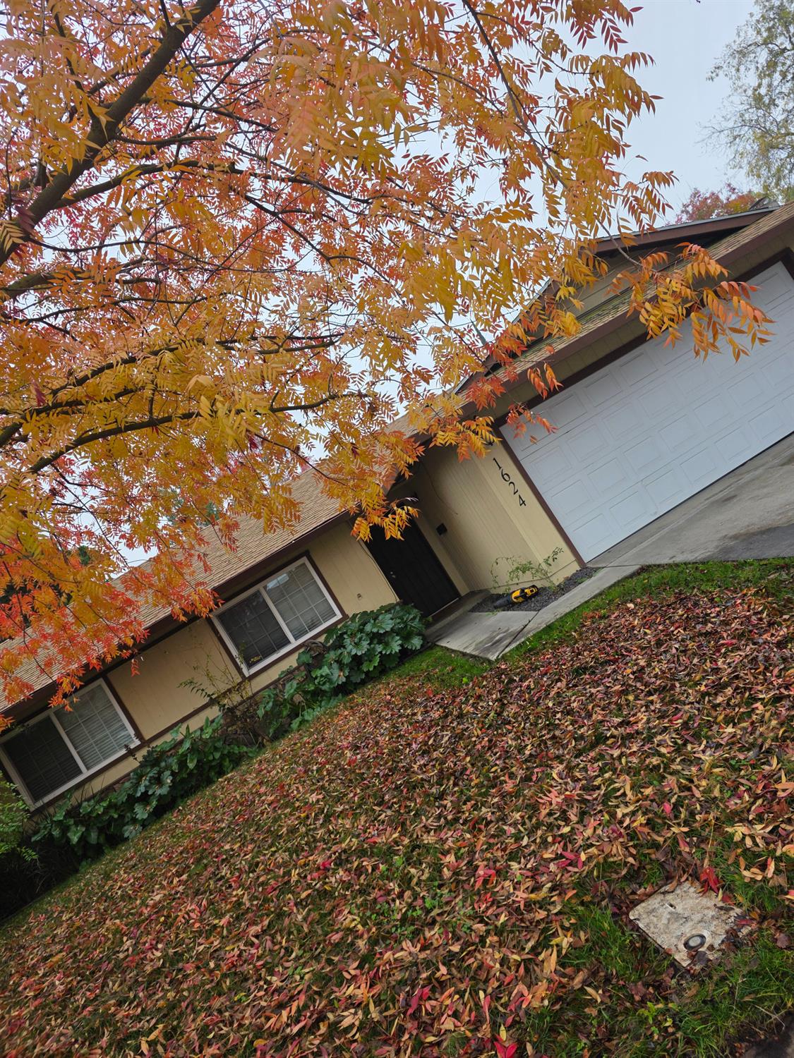 1624 Falmouth Way, Modesto, CA 95355