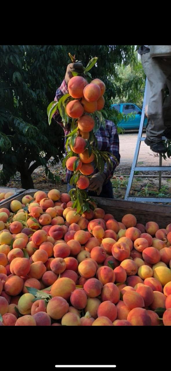 0 Tanaka, Livingston, CA 95334