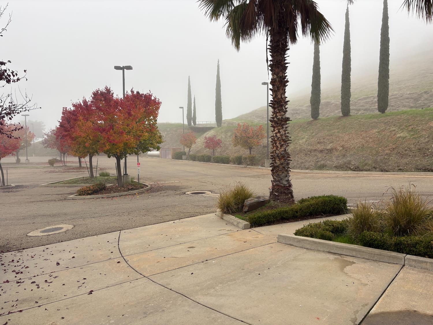 8386 Vista verde Cir, La Grange, CA 95329