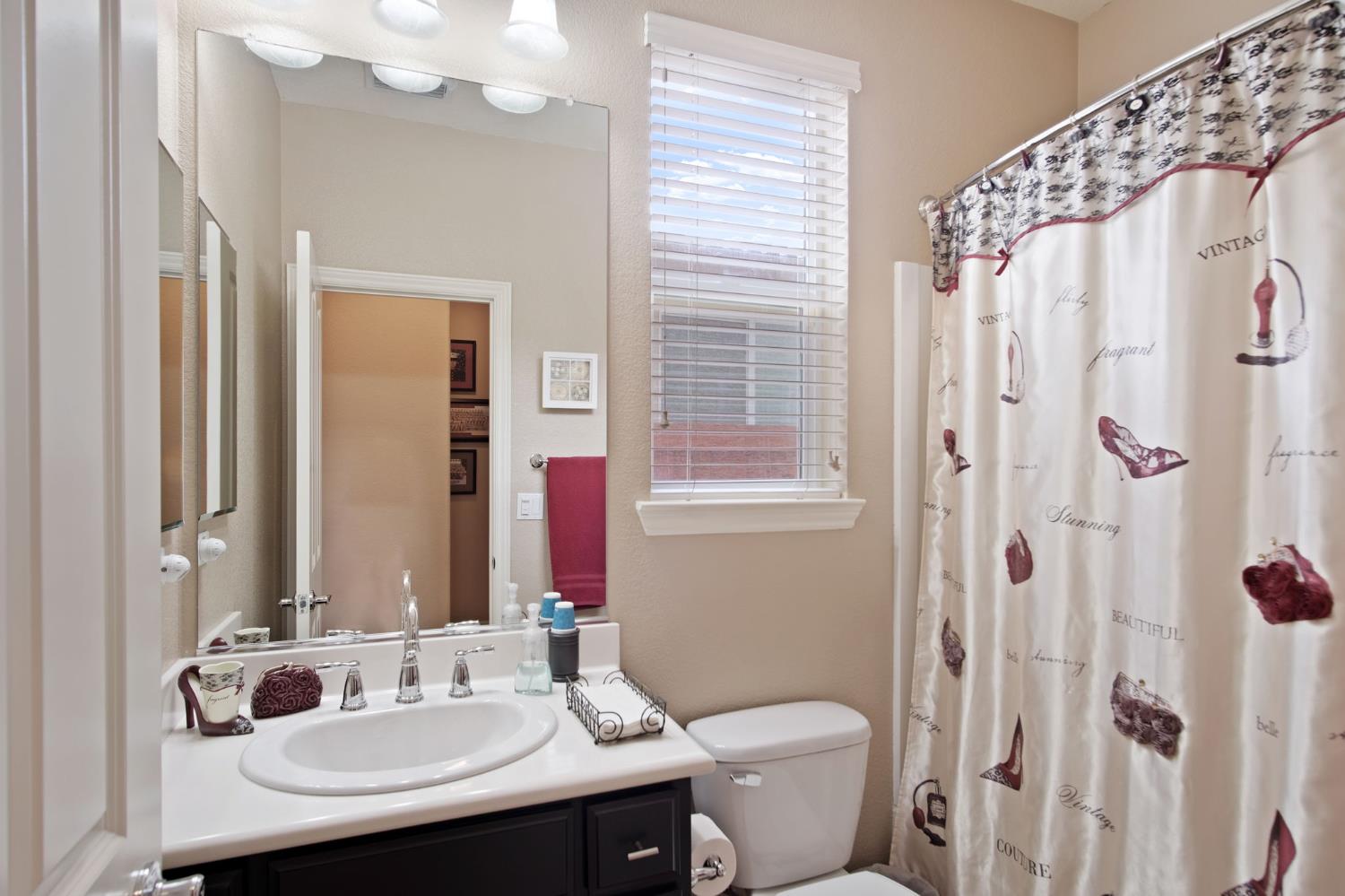 4245 Silver Lupine Dr, Turlock, CA 95382