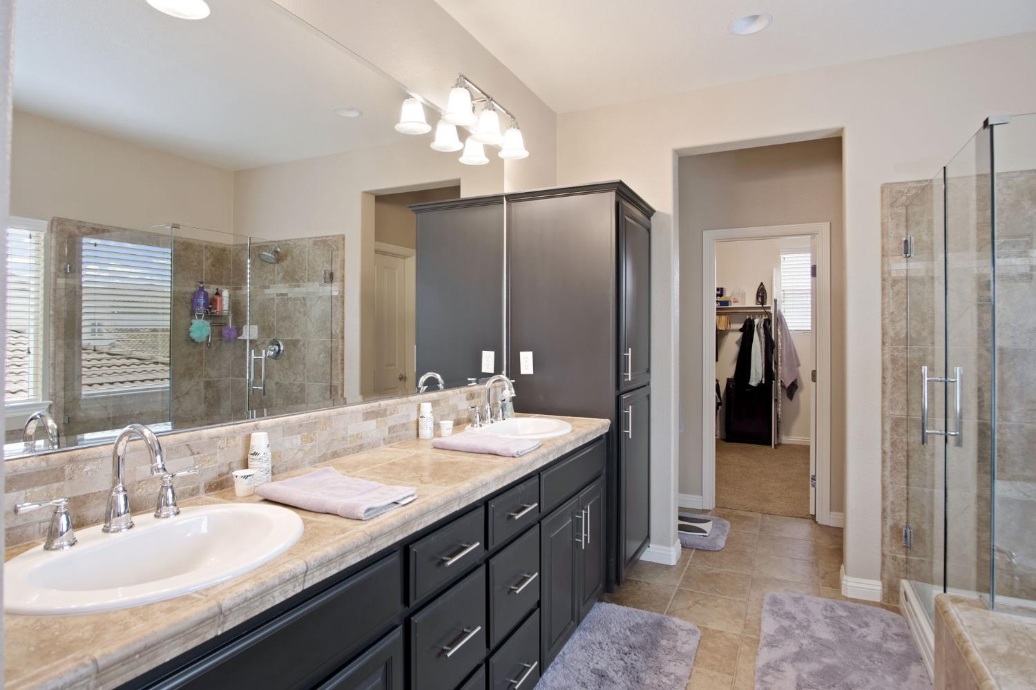 4245 Silver Lupine Dr, Turlock, CA 95382