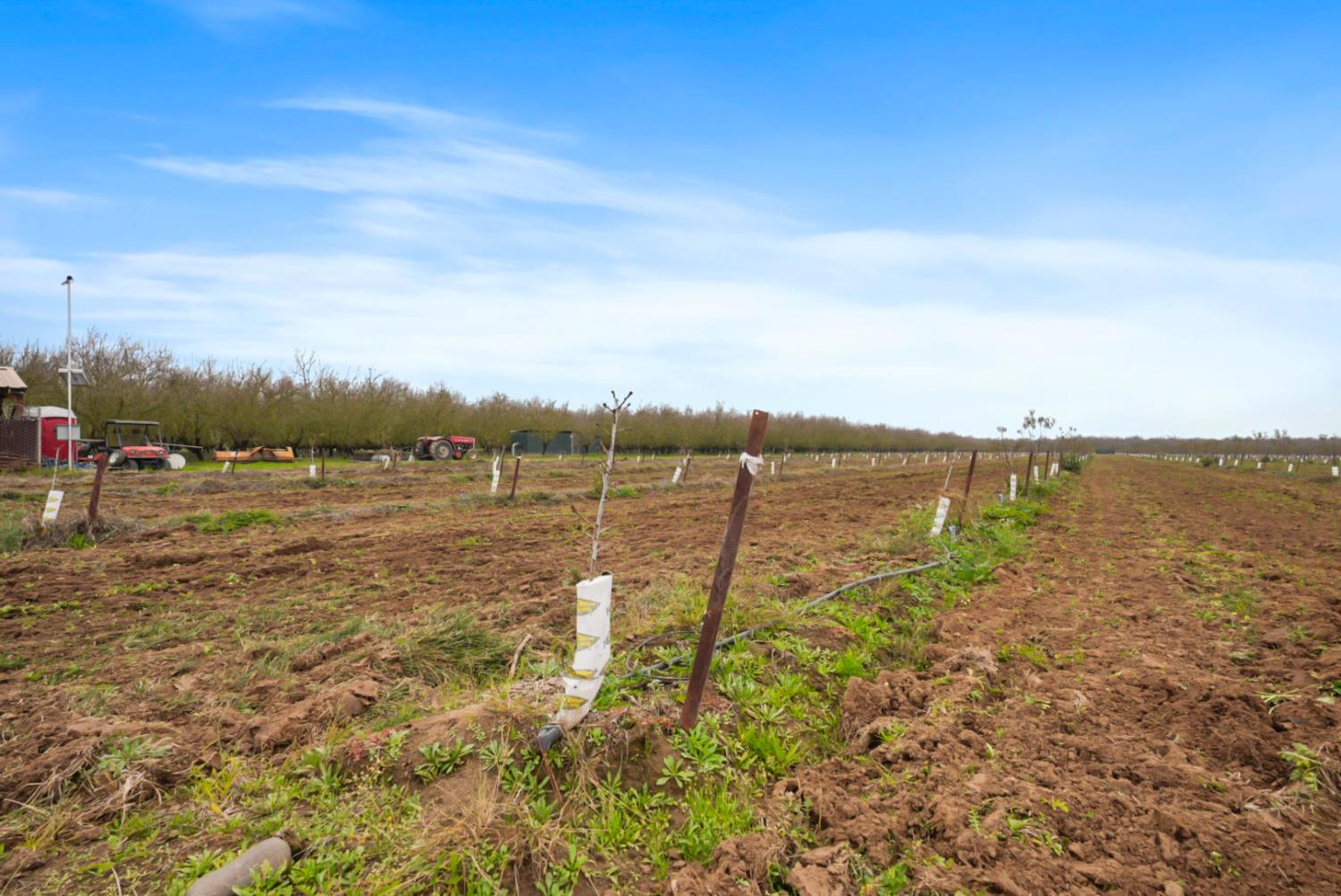 16221 Carrolton Rd, Escalon, CA 95320