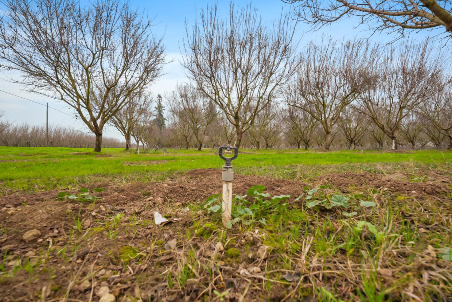 16221 Carrolton Rd, Escalon, CA 95320