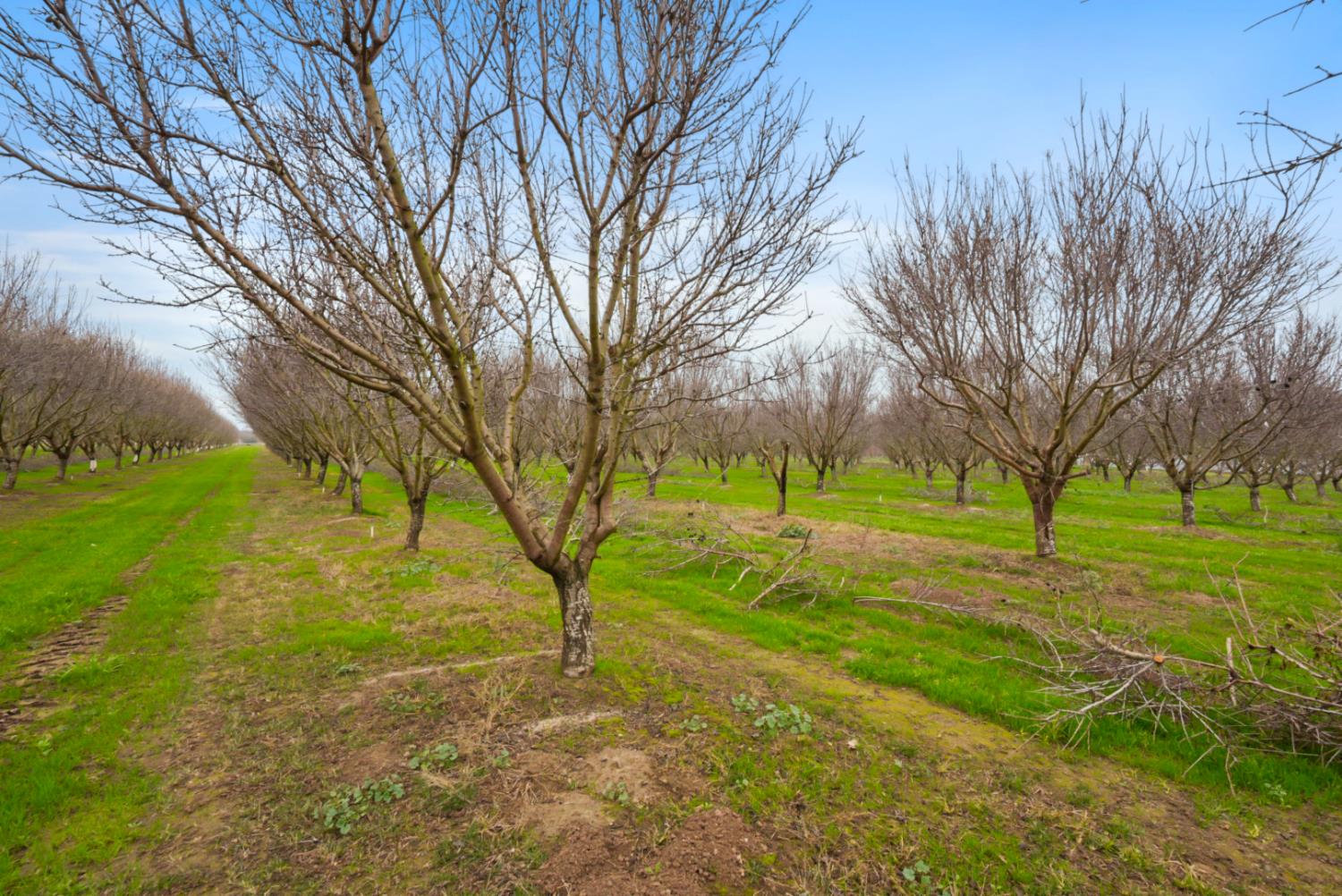 16221 Carrolton Rd, Escalon, CA 95320