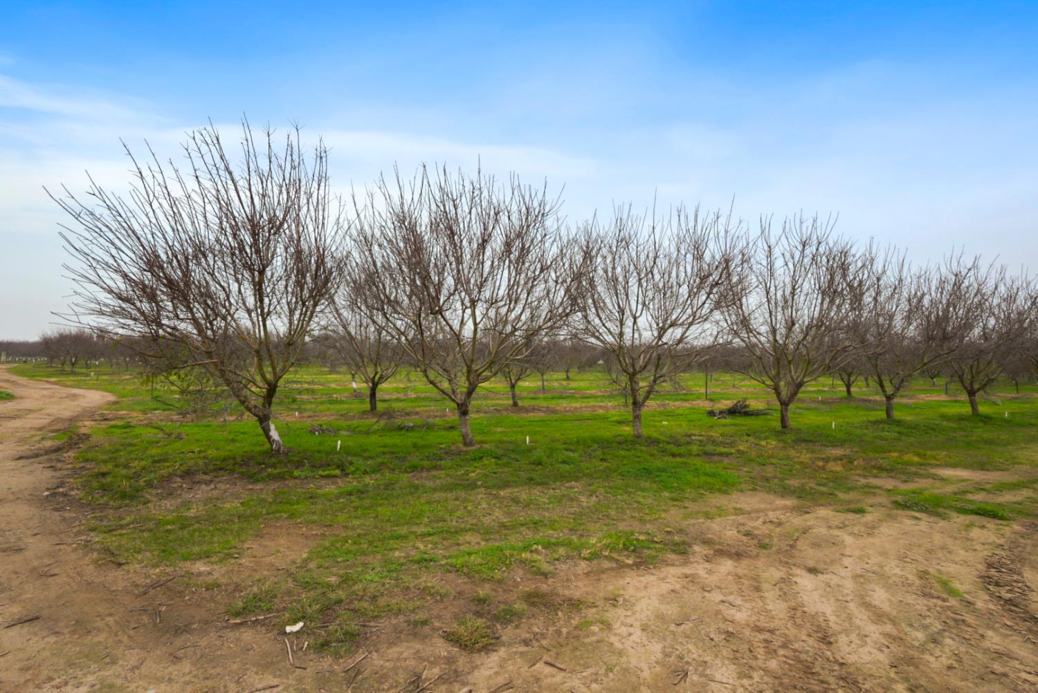 16221 Carrolton Rd, Escalon, CA 95320