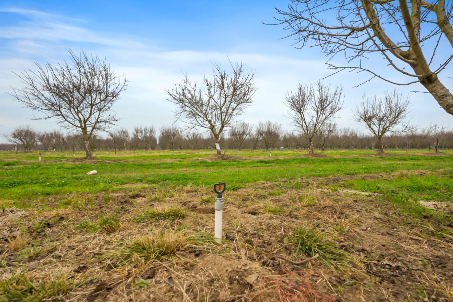 16221 Carrolton Rd, Escalon, CA 95320