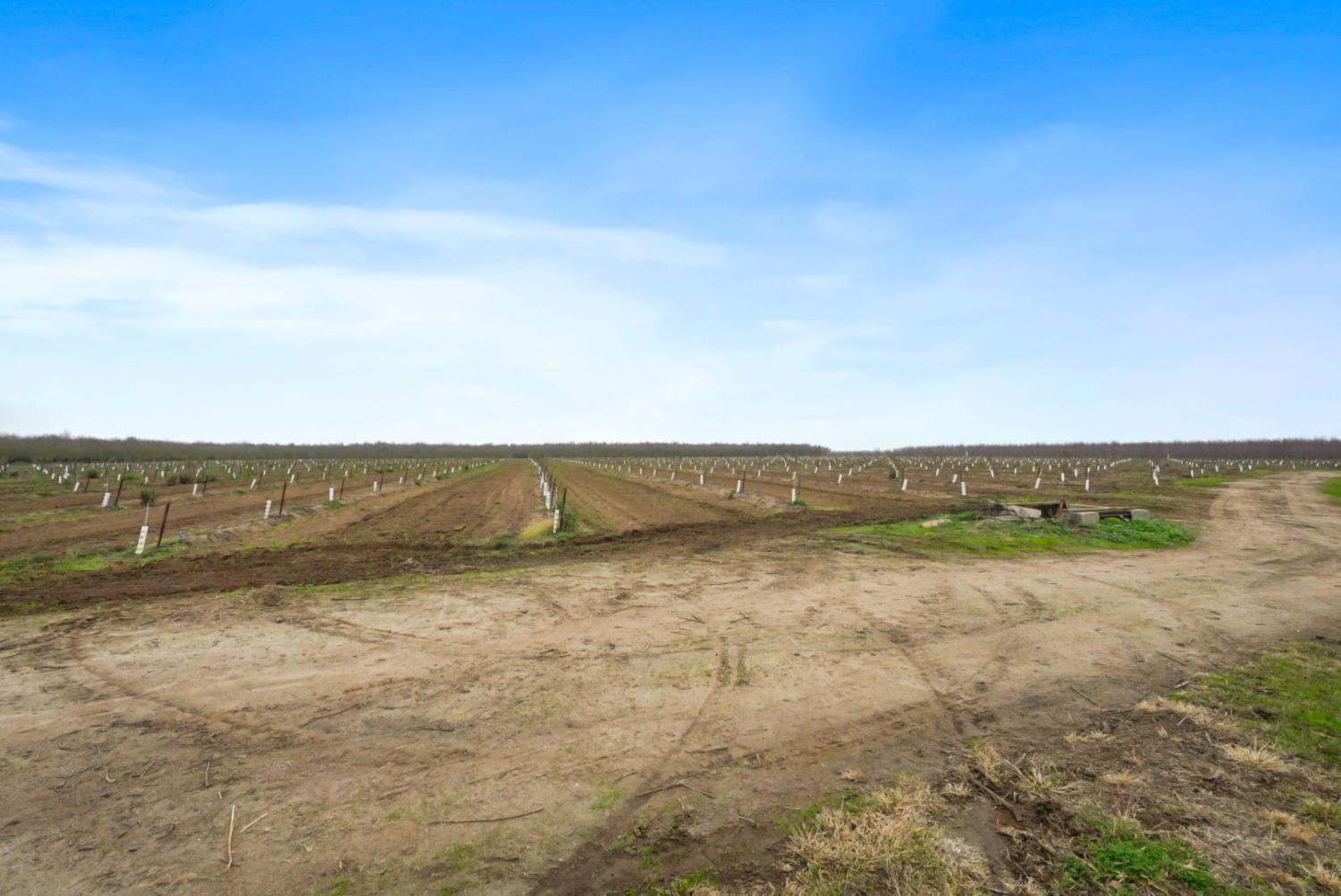 16221 Carrolton Rd, Escalon, CA 95320