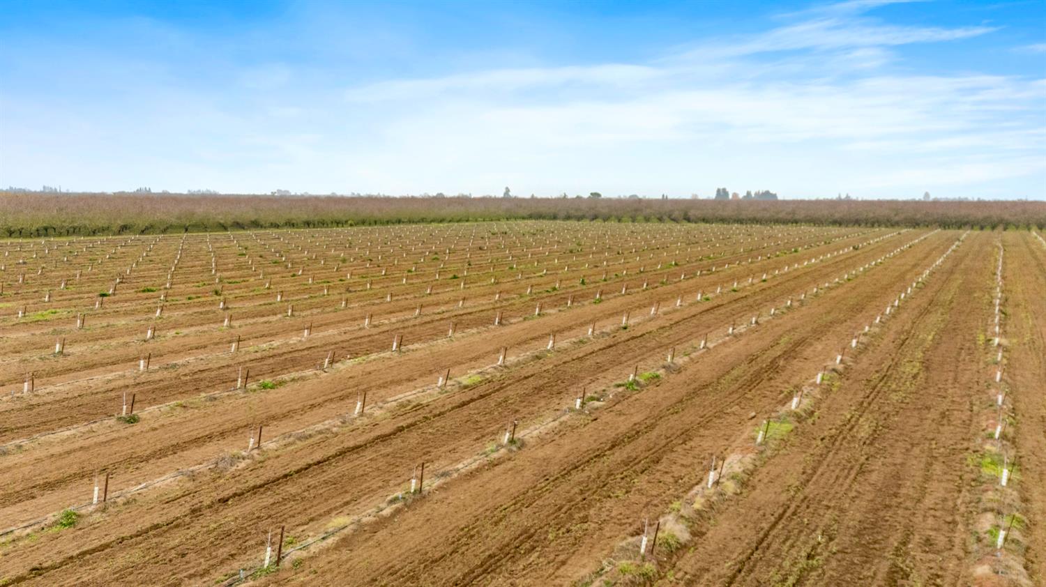 16221 Carrolton Rd, Escalon, CA 95320