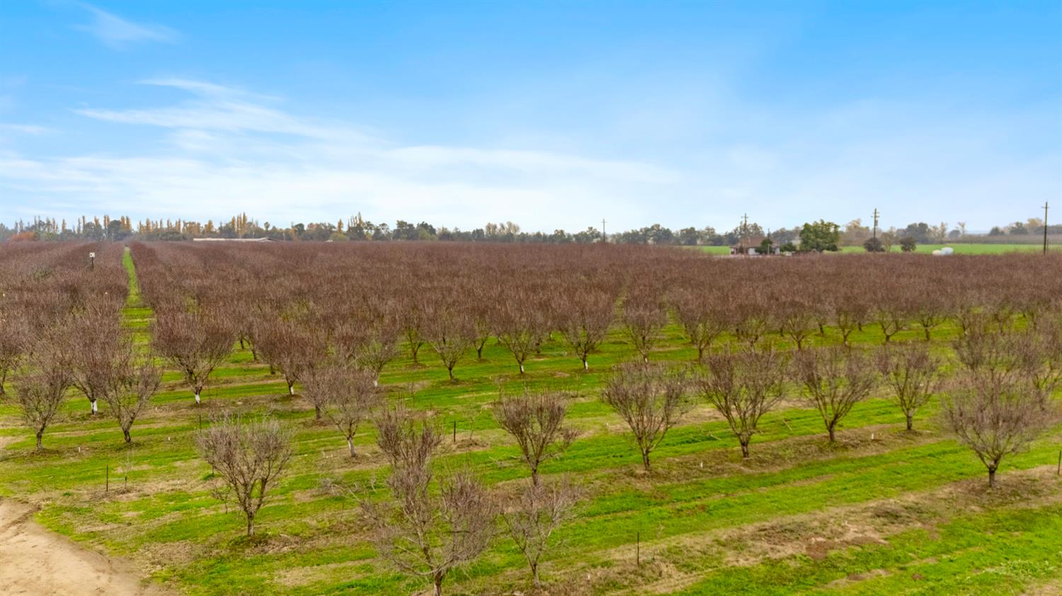 16221 Carrolton Rd, Escalon, CA 95320