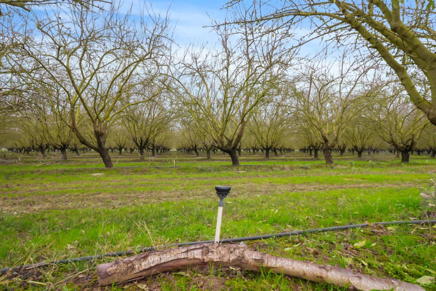 16221 Carrolton Rd, Escalon, CA 95320