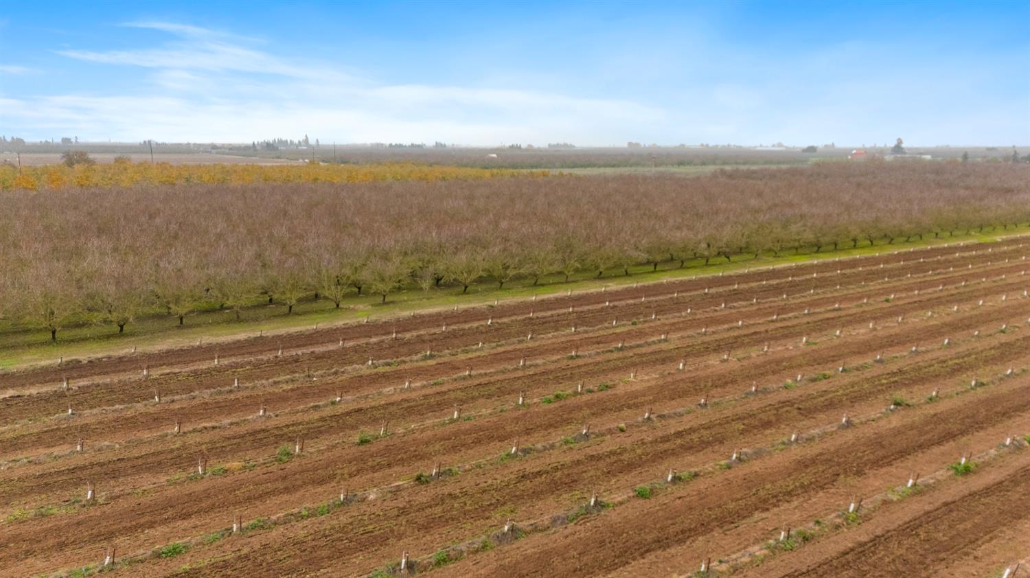 16221 Carrolton Rd, Escalon, CA 95320