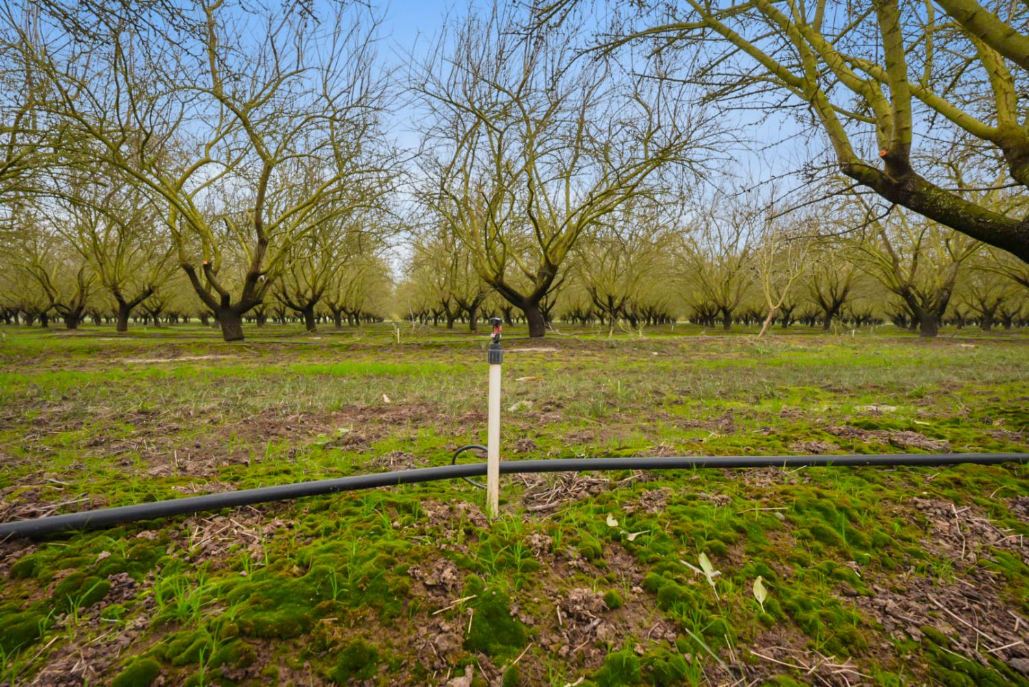 16221 Carrolton Rd, Escalon, CA 95320