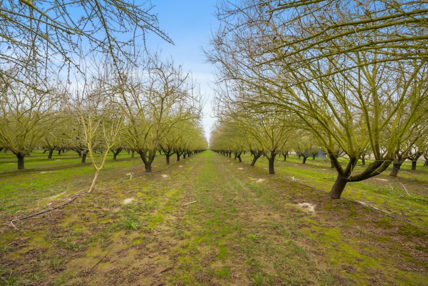 16221 Carrolton Rd, Escalon, CA 95320