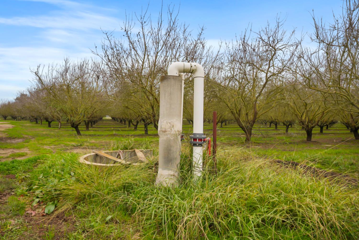 16221 Carrolton Rd, Escalon, CA 95320