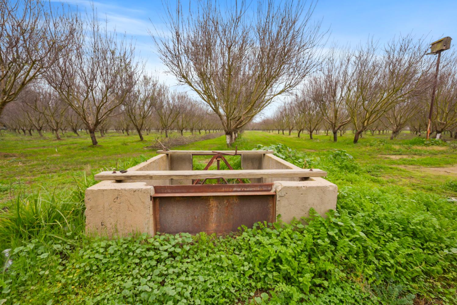 16221 Carrolton Rd, Escalon, CA 95320