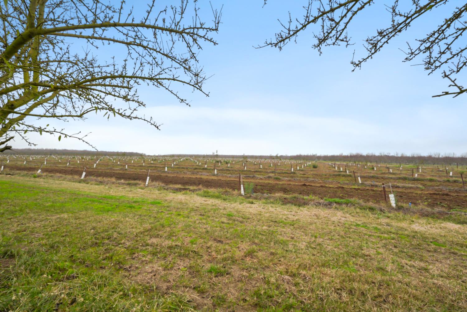 16221 Carrolton Rd, Escalon, CA 95320