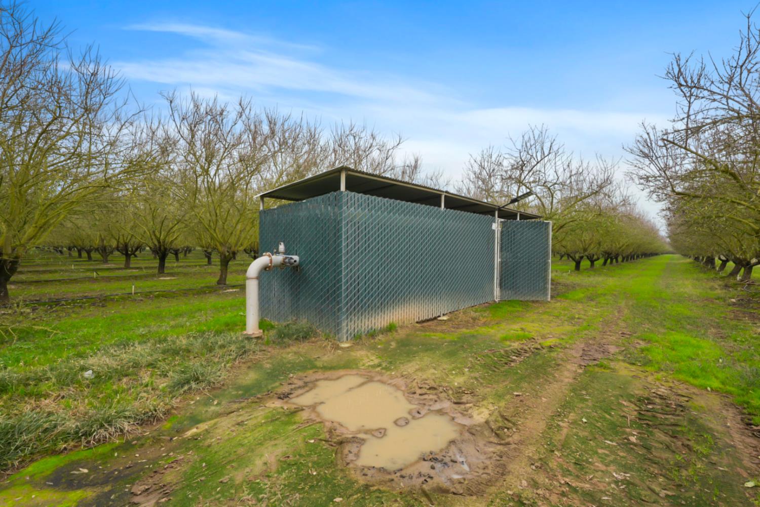 16221 Carrolton Rd, Escalon, CA 95320