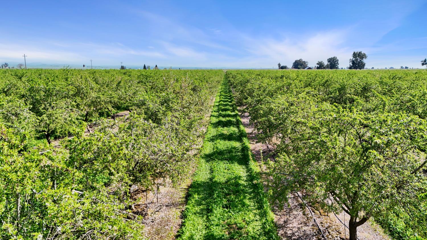 4506 S Ispen, Le Grand, CA 95333